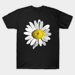 Denmark Flower Marguerite Daisy Argyranthemum Frutescens Pattern T-Shirt